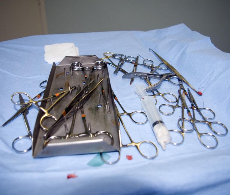 Instruments for rabbit surgery